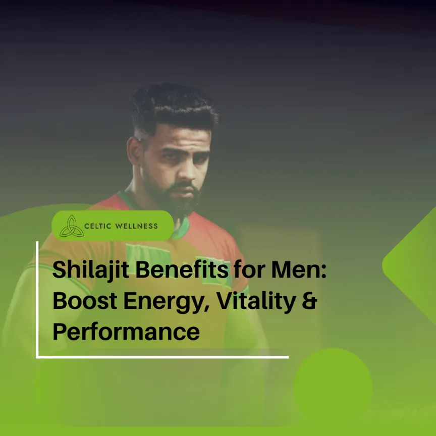 Shilajit Benefits For Men